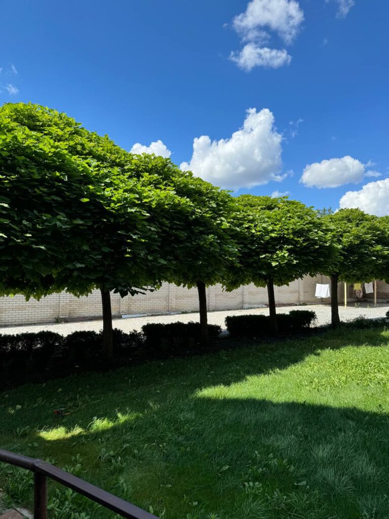 fotogalereya_104001_19