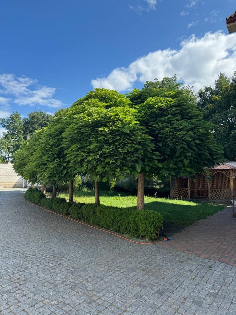 fotogalereya_1_53