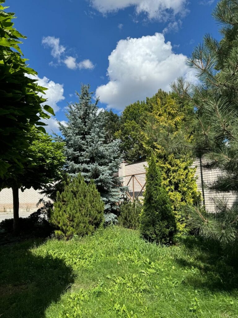 fotogalereya_1_55