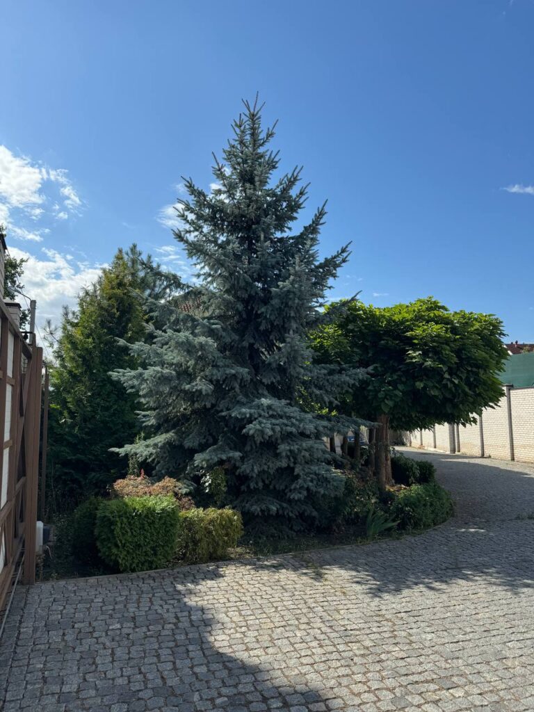 photo_5386670398813967834_y