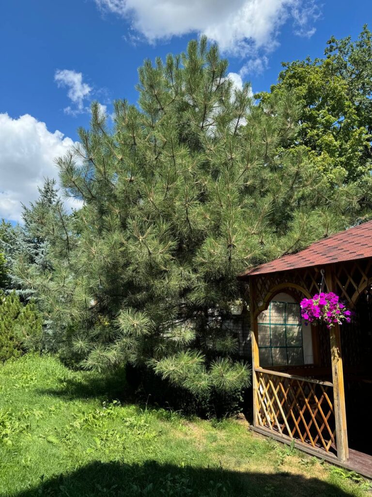 photo_5386670398813967835_y